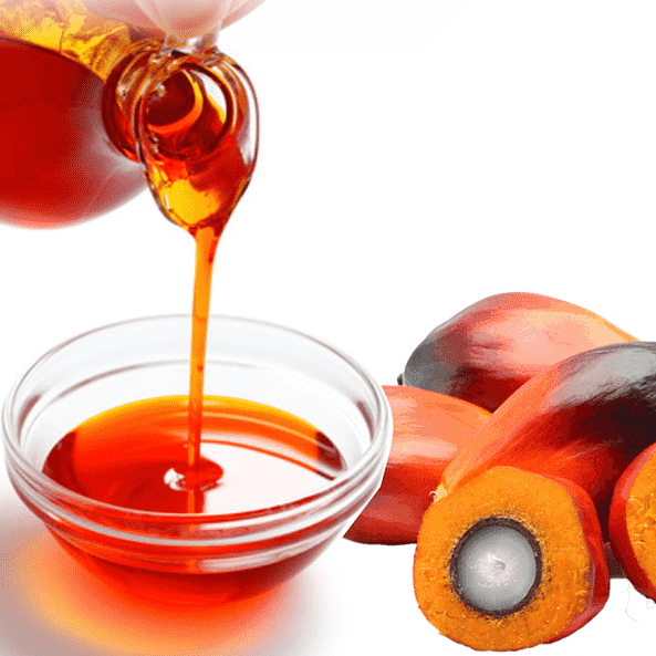 What is Palm Oil? - How is Palm Oil made?