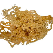 Load image into Gallery viewer, Sea Moss 1 lb
